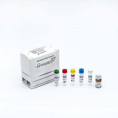 Nucleic Acid Detection Rapid PCR Test Kit With ISO 13485 Certification