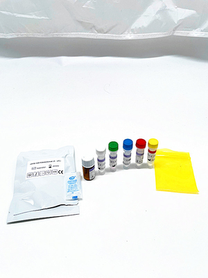 99.9% Purity PCR Reagent Kit Viral RNA DNA Extraction Kitwith FSC Certification