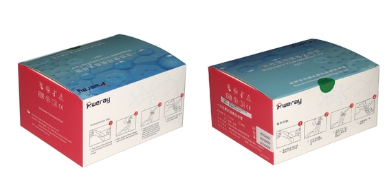 3ML Disposable VTM Test Kit Virus Sampling For Covid-19