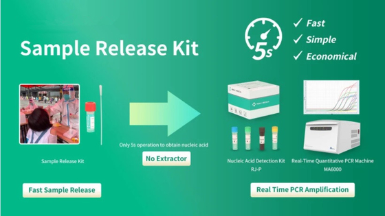Virus Sample PCR Rapid Test Kit DNA Release Reagent FDA Approval