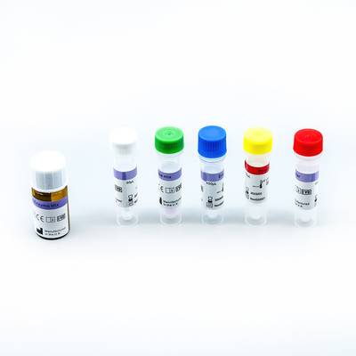 Real Time Fast Amplification RT PCR Test Kits 48 Test/Box