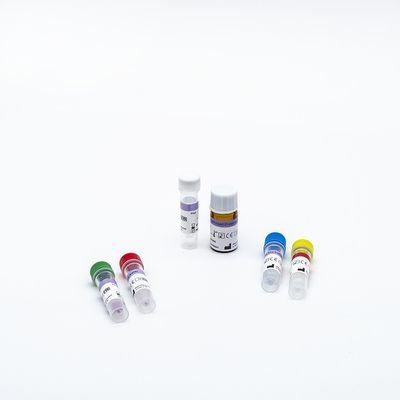 Rapid RT PCR Test Kits Fast And Simple Fluorescence For Covid-19