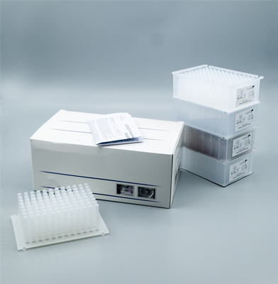 ISO Approved 64wells Elution Nucleic Acid Extraction Kit Magnetic Beads Based