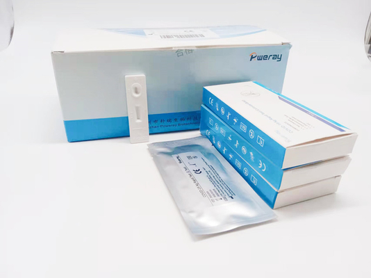 CE Approved One Step Nucleic Acid Amplification Test PCR NAAT Test Saliva Swab