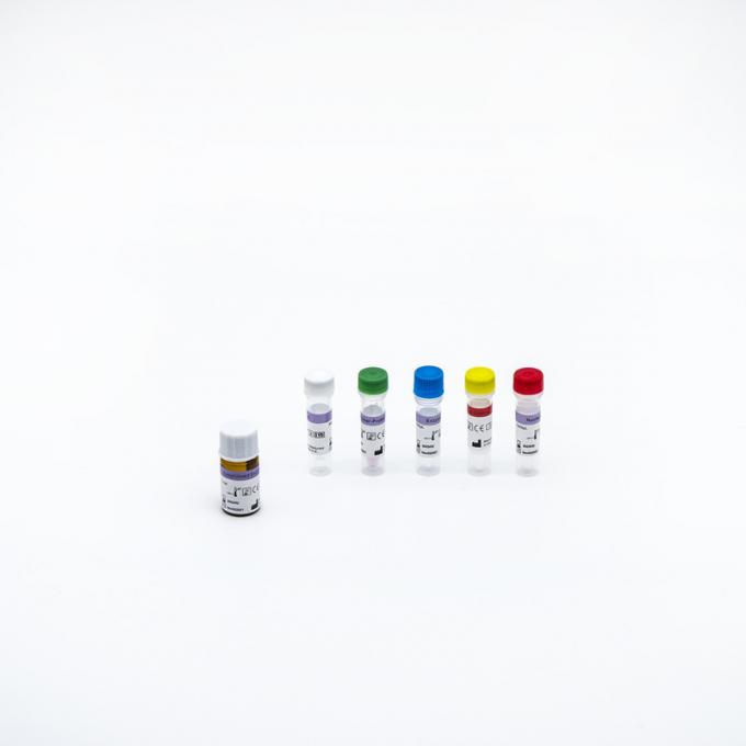 FSC Certificated Nucleic Acid Amplification Test For PCR Test